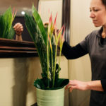 Blumenlieferant Blumenvase Dekoration Hotel