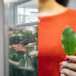 Blatt Einzelblatt grün Blumenverkäufer
