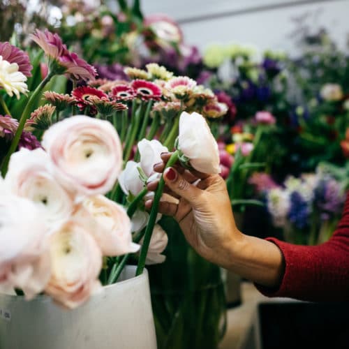 Blumenauswahl Pfingsrose beige rose