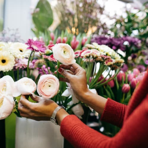 Blumenladen Blume Pfingstrose