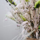 Zarter handgebundener Trockenblumenstrauß mit Katzenschwänzchengras, Lavendel, Schleierkraut und Sonnenflügel.
