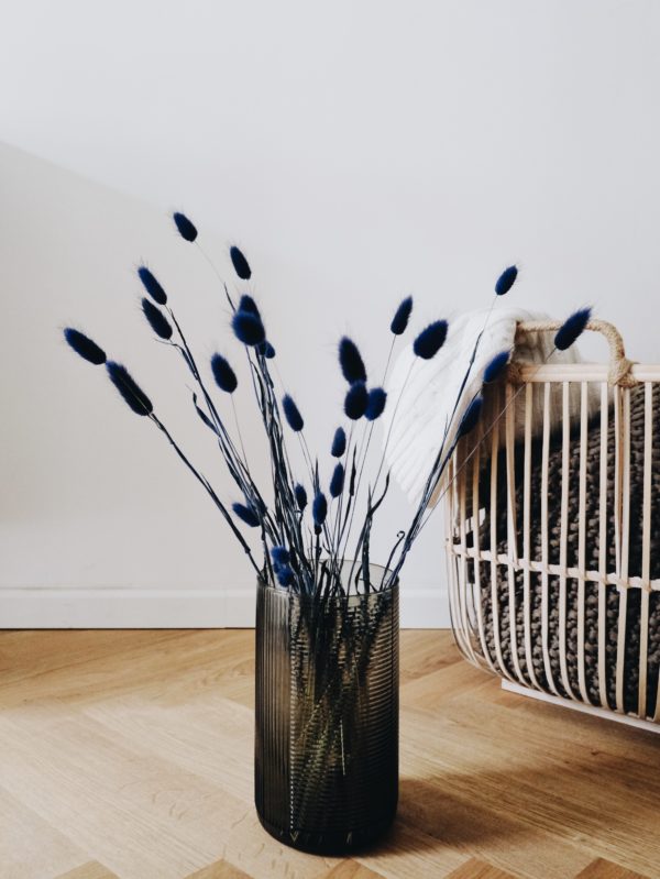 Lagurus Nachtblau in Vase