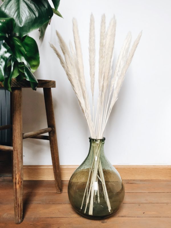 Pampasgras gebleicht im 5er Bund, Trockenblumen in Vase