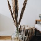 Zebragras in Vase, naturbelassen im 5er Bund, Trockenblumen