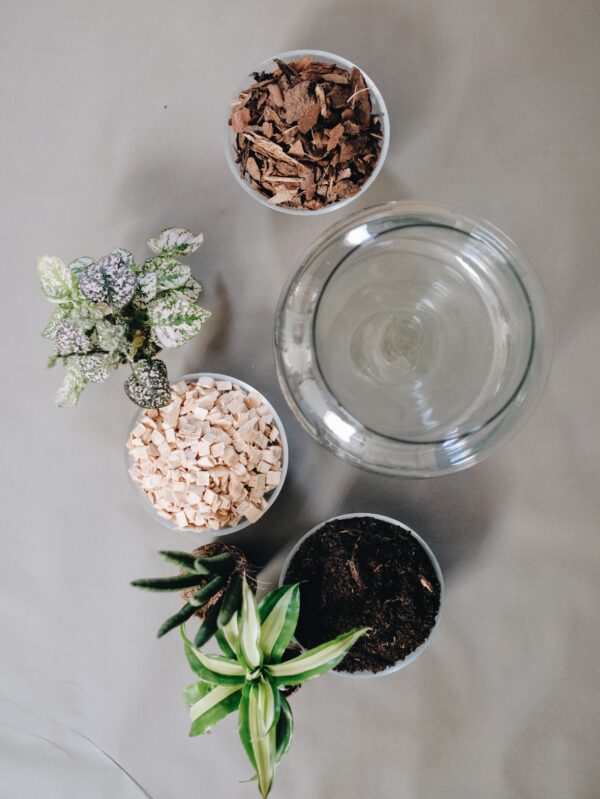 Tiny-Garden Pflanzgefäß, Komplett Set, DIY