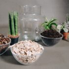 Tiny-Garden Pflanzgefäß, Komplett Set, DIY