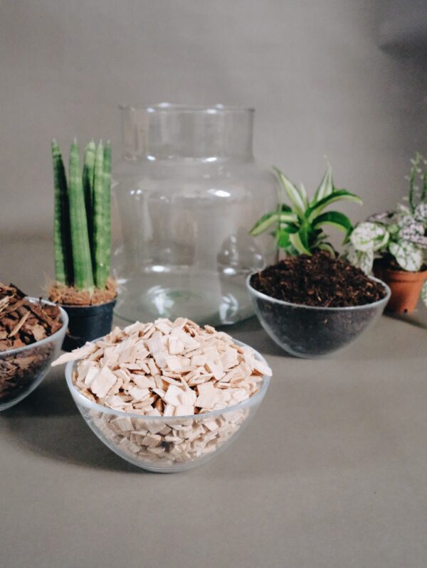 Tiny-Garden Pflanzgefäß, Komplett Set, DIY