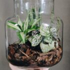 Tiny-Garden Pflanzgefäß, Komplett Set, DIY