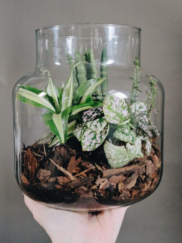 Tiny-Garden Pflanzgefäß, Komplett Set, DIY