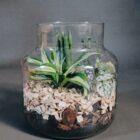 Tiny-Garden Pflanzgefäß, Komplett Set, DIY