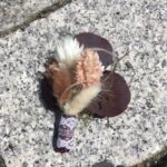 Blumenanstecker Bräutigam Trockenblumen