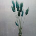Lagurus im 15er Bund, stahlblau, Trockenblumen