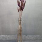 Lagurus im 15er Bund, altviolett, Trockenblumen